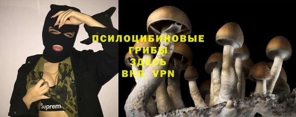 каннабис Белокуриха