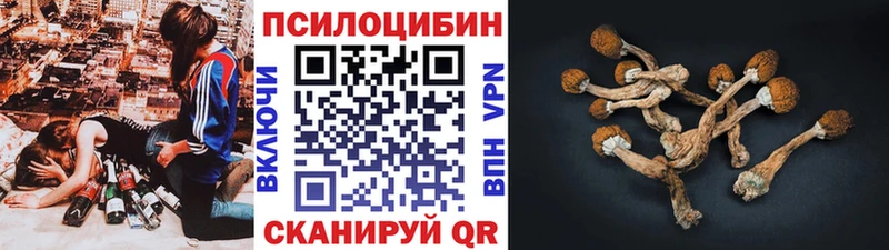 Галлюциногенные грибы GOLDEN TEACHER  дарк нет состав  Мостовской  мега ССЫЛКА 